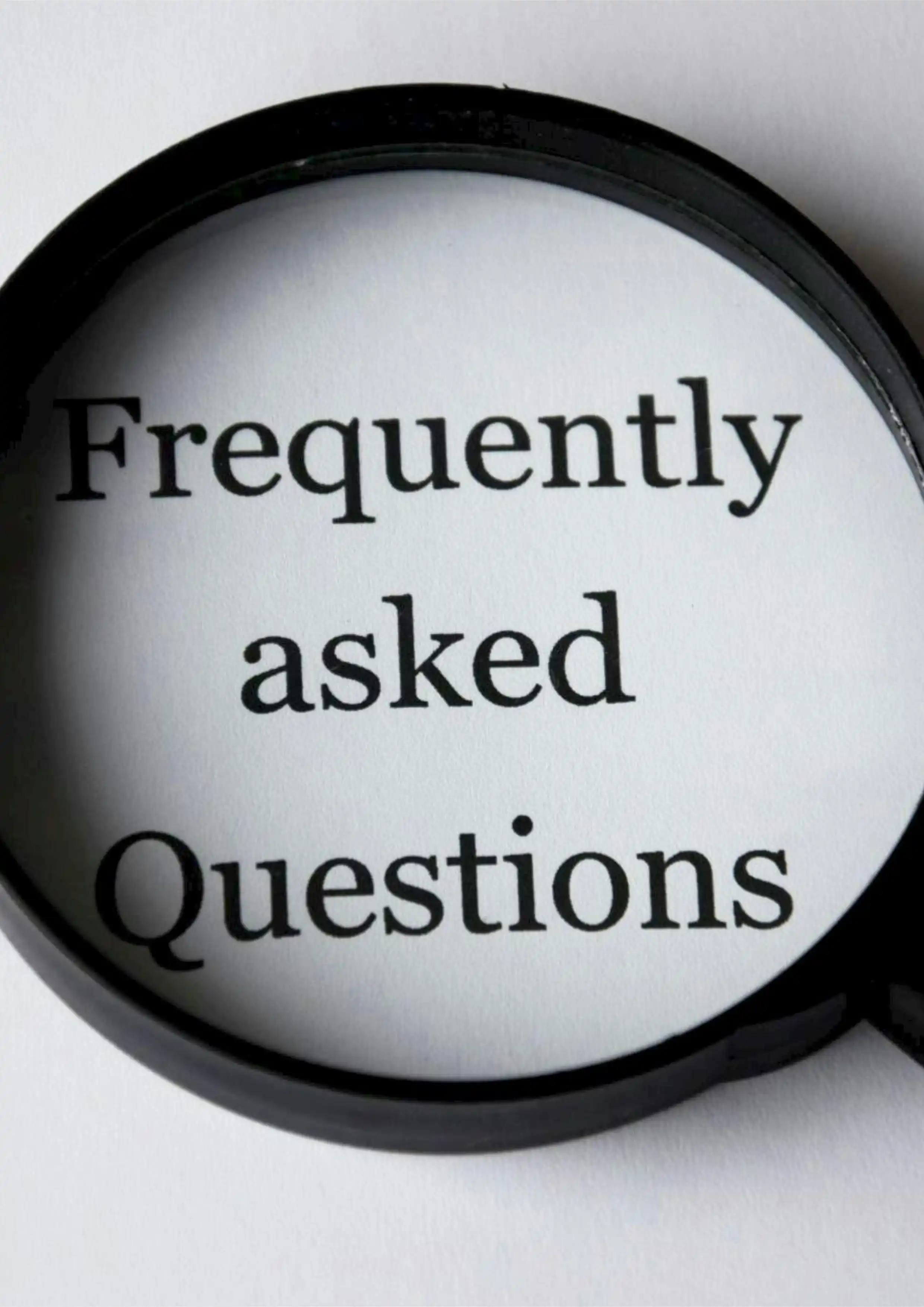 Veterinary doctor examining a pet in Kenya